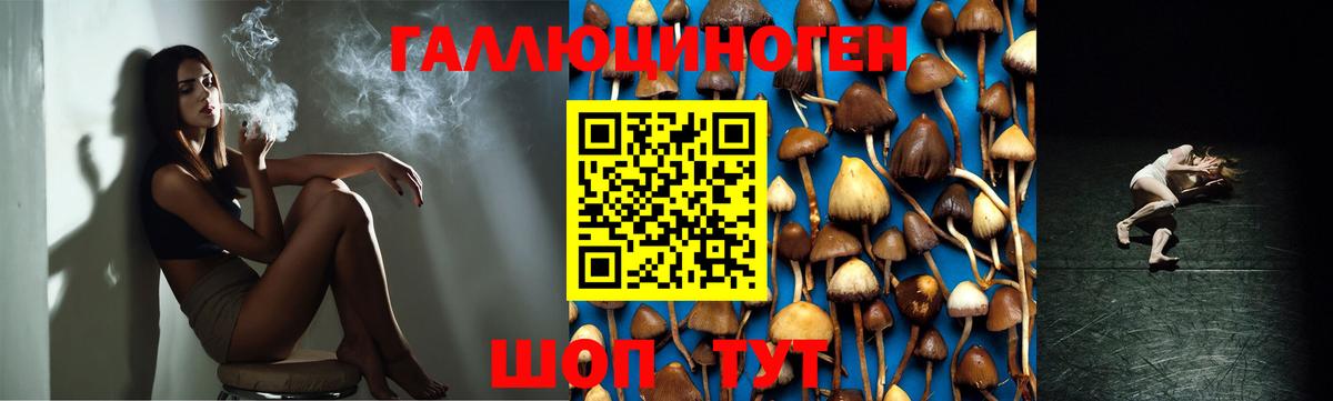 Галлюциногенные грибы мицелий  Вход с VPN  Гудермес 
